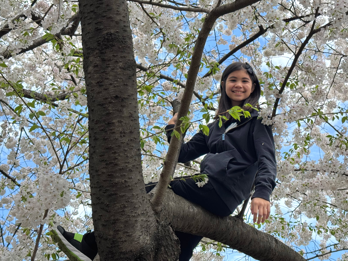 Taking a moment to enjoy Spring in the park with a tree climb
